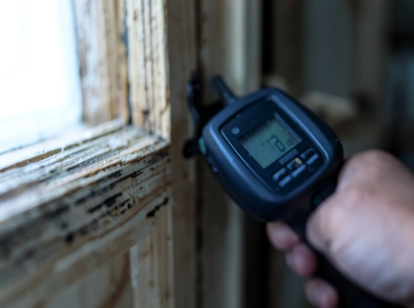 Moisture Inspection And Documentation in Wheelwright, KY
